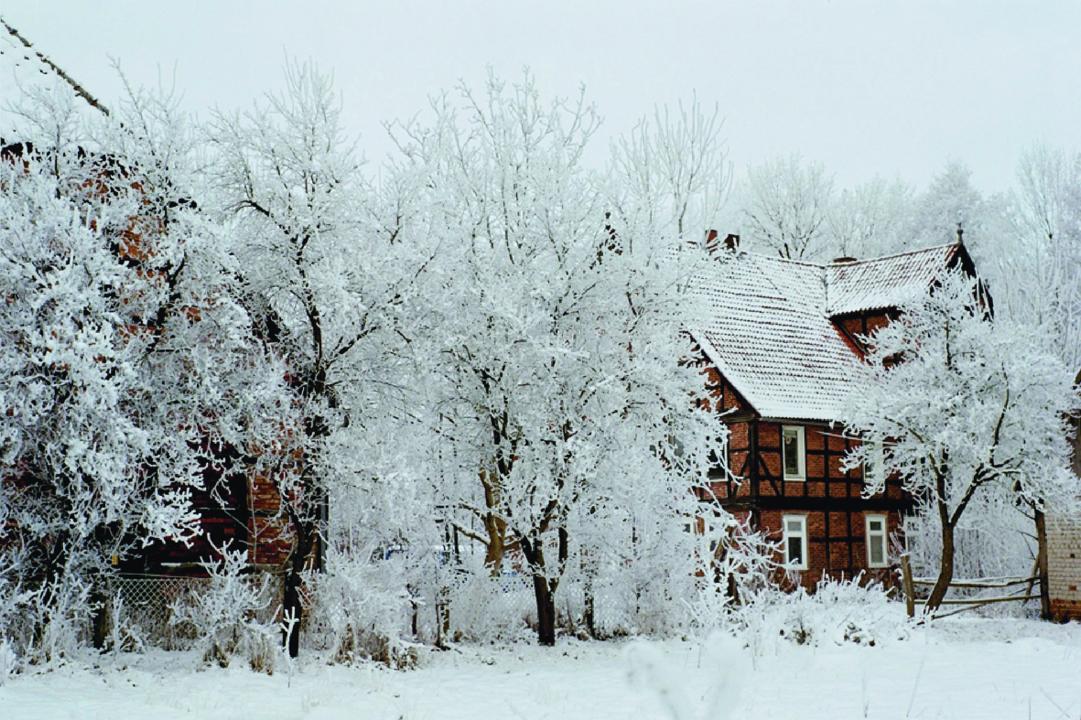 Harfenkurs Winter Zeetzer Mühle